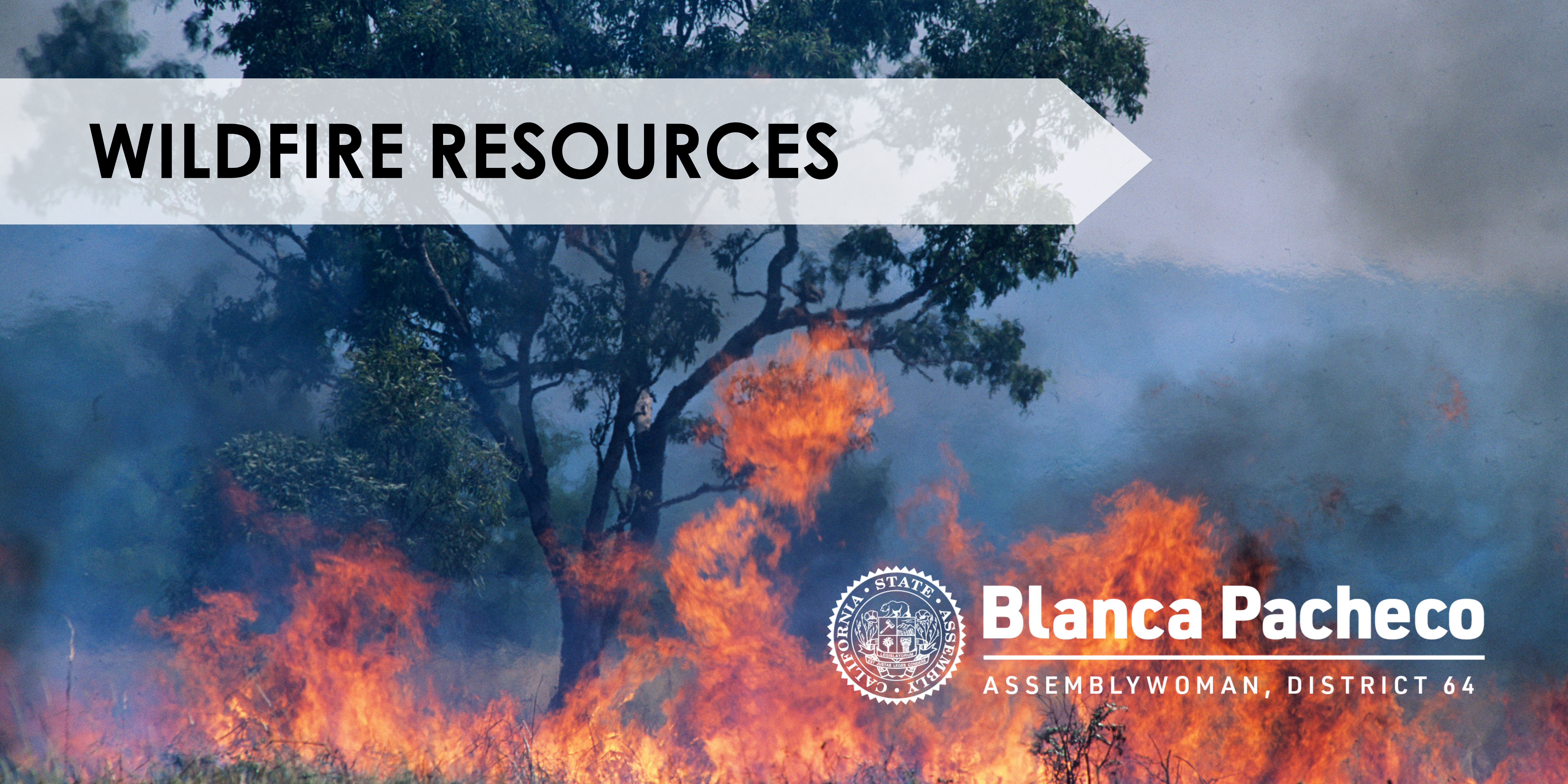 ad64 pacheco wildfire resources