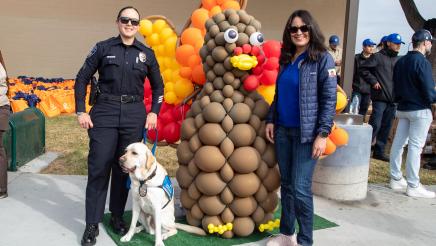 Operation Gobble