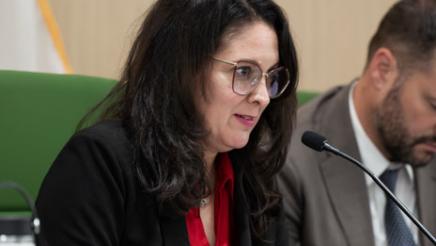 Select committee on Housing and Affordability